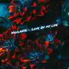 Vigilante - Love of My Life - Single